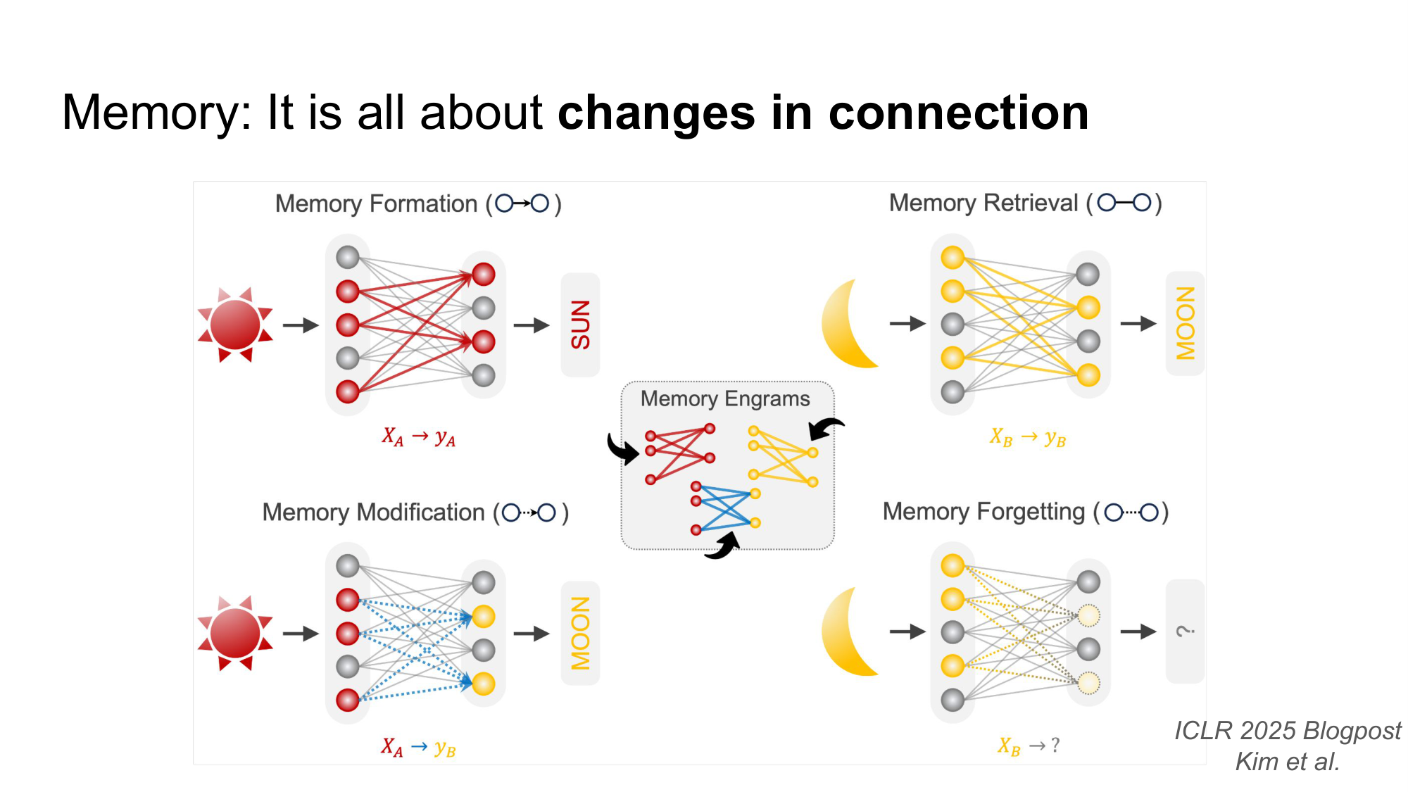 The four memory operations: formation, retrieval, modification, forgetting